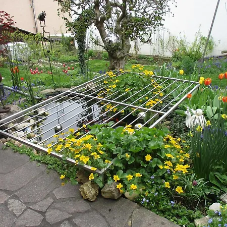 Brunner Mit Terrasse Apartamento *